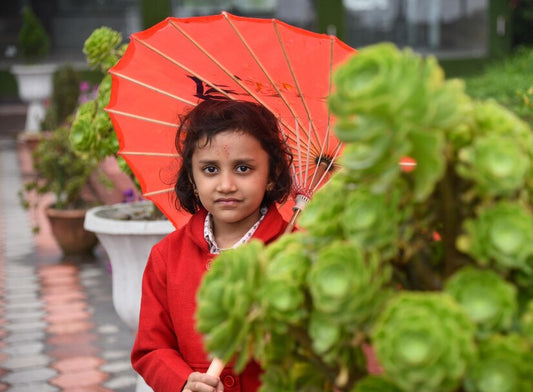 The Best Monsoon Guide for Kids!